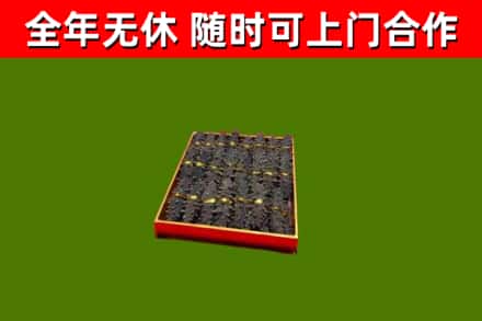 周口回收海参